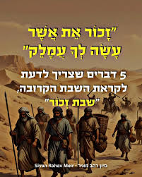 Faouzi Badaoui tweet media