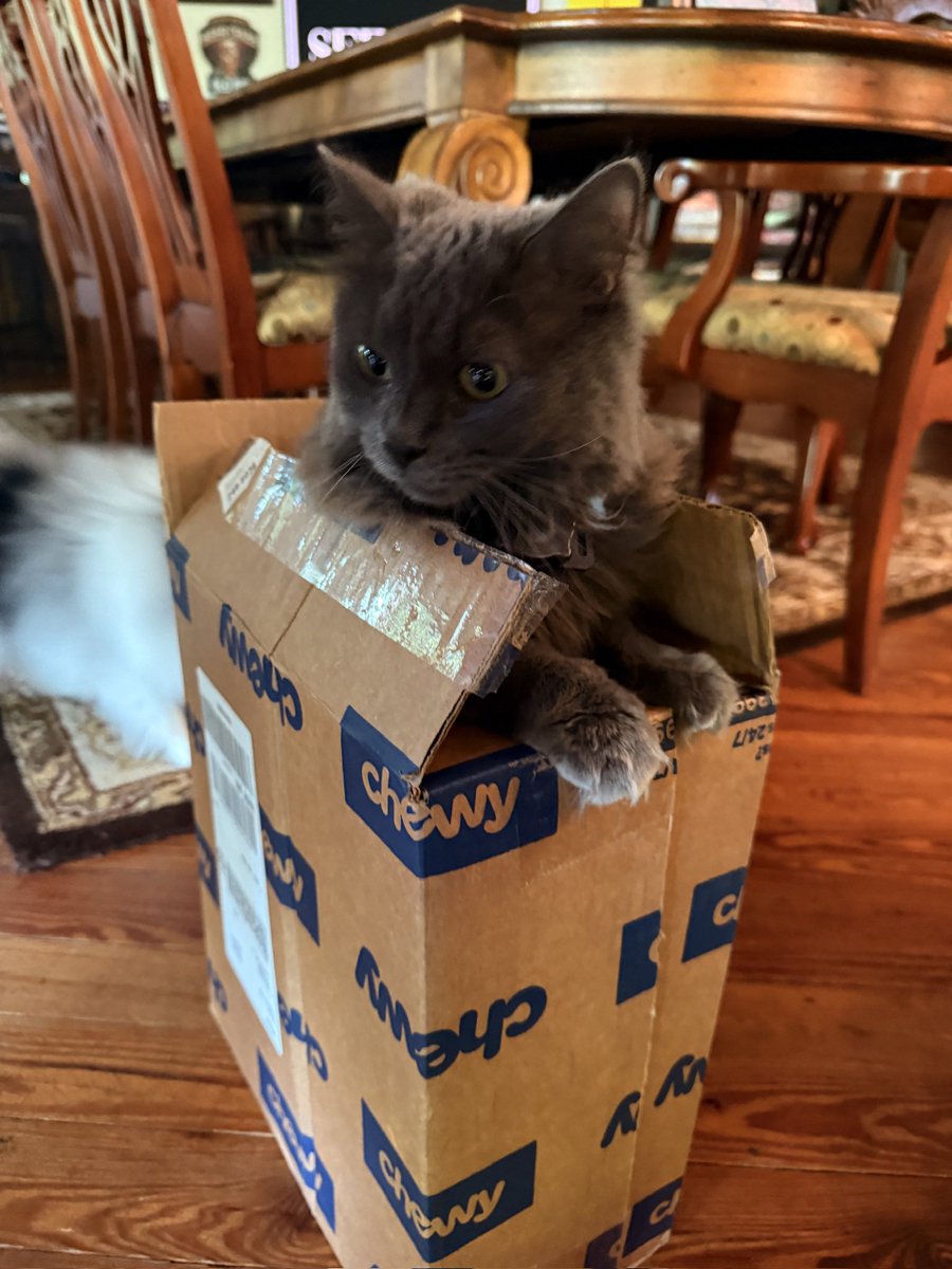 🦀 Josh Seefried tweet media