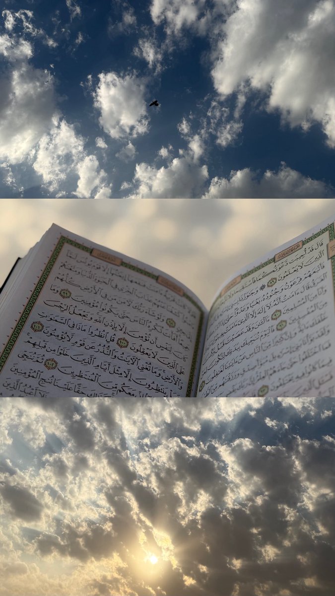 nuorah_96's tweet photo. تأمّلتُ السماء ✍🏼
فوجدتُها أوسع من همومي، وأهدأ من ضجيج أيامي،
كلما رفعتُ بصري إليها شعرتُ أن قلبي يرتّب فوضاه،
وكأن بياضُها رسائل طمأنينة،
و زرقتها وعدٌ خفيّ بأن بعد كل ضيقٍ اتساع،
وبعد كل عتمةٍ فجرٌ ينتظر. 🌥️ https://t.co/Up3IVEXZ2X
