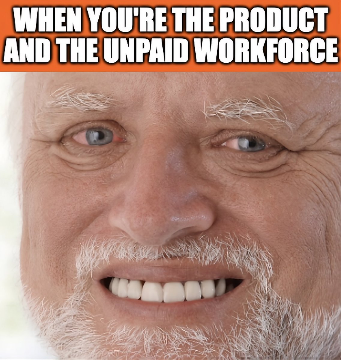 PLRL by Verasity tweet media