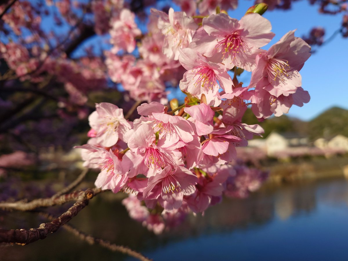 北原 (@kitalogi) on Twitter photo 