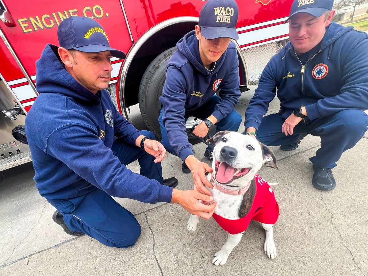 City of Waco, Texas tweet media