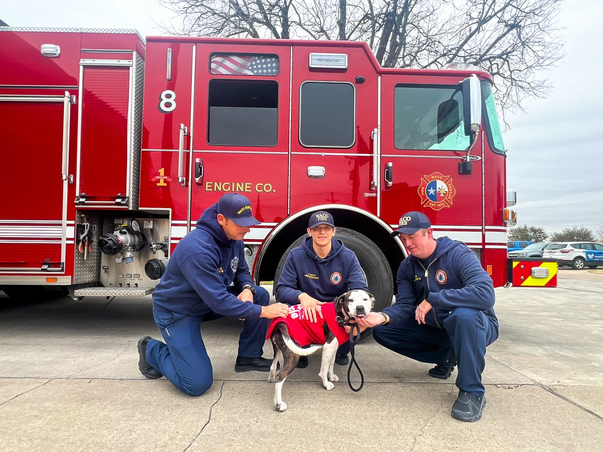 City of Waco, Texas tweet media