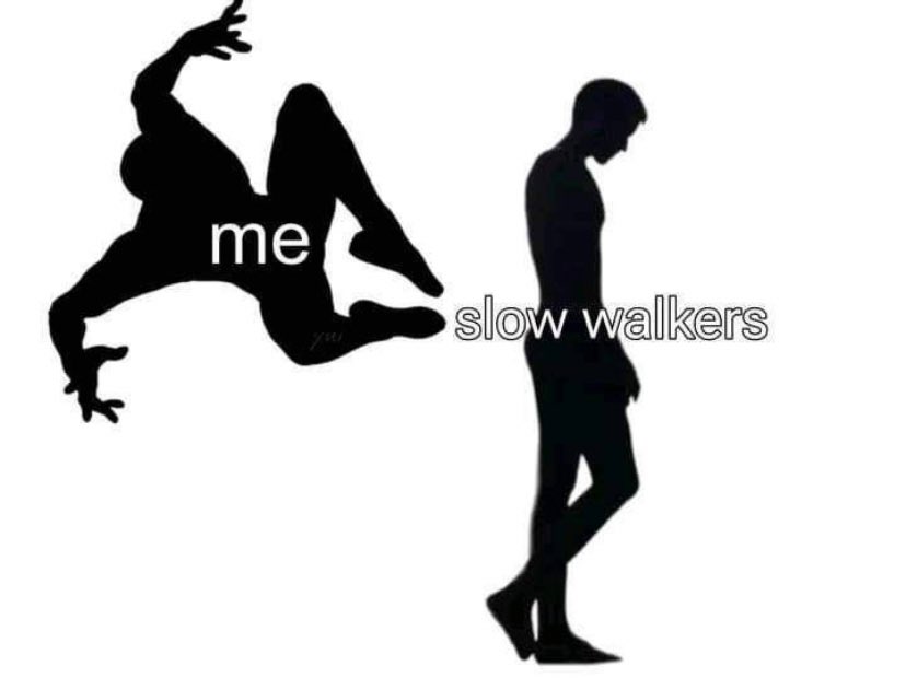 Out Of Context Animals (@animalscontexts) on Twitter photo 