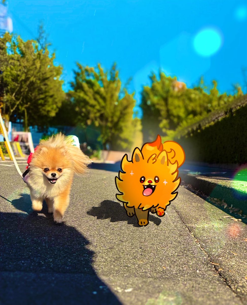 ポムケン2匹捕まえた！