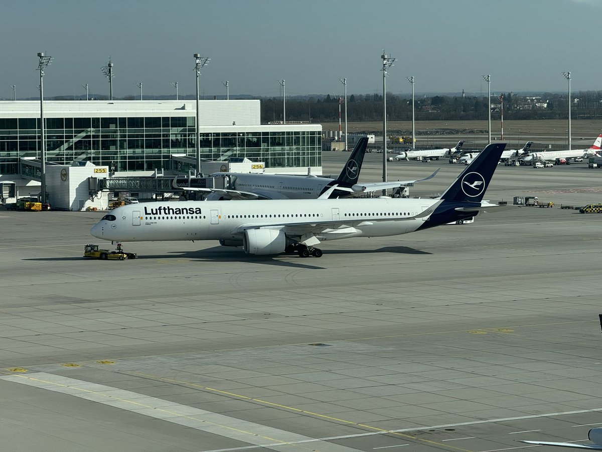 88888Human tweet media