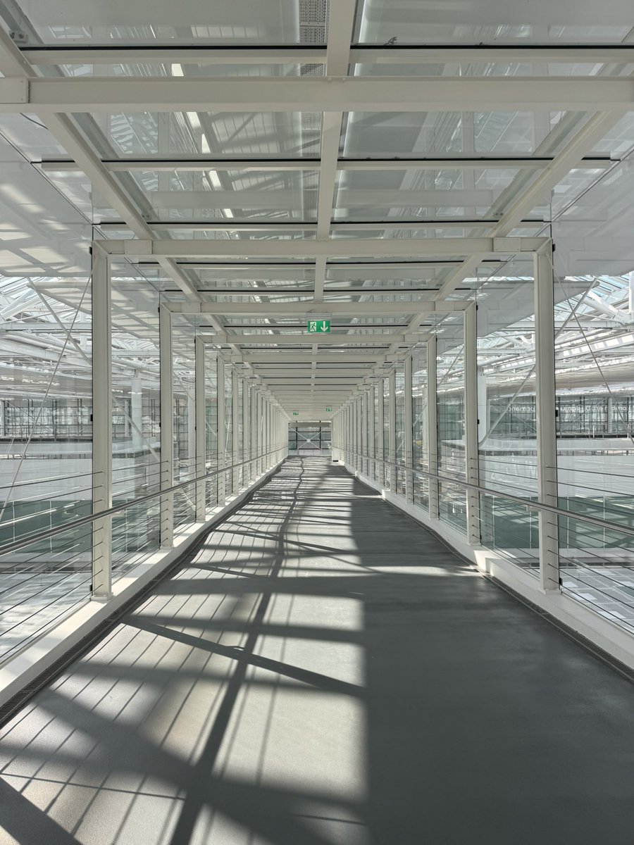 88888Human tweet media