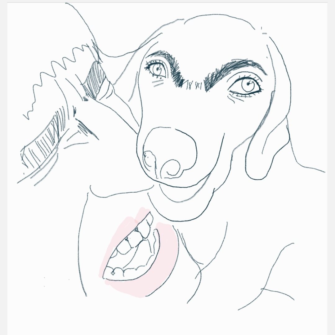 잡곡탈곡범 tweet media