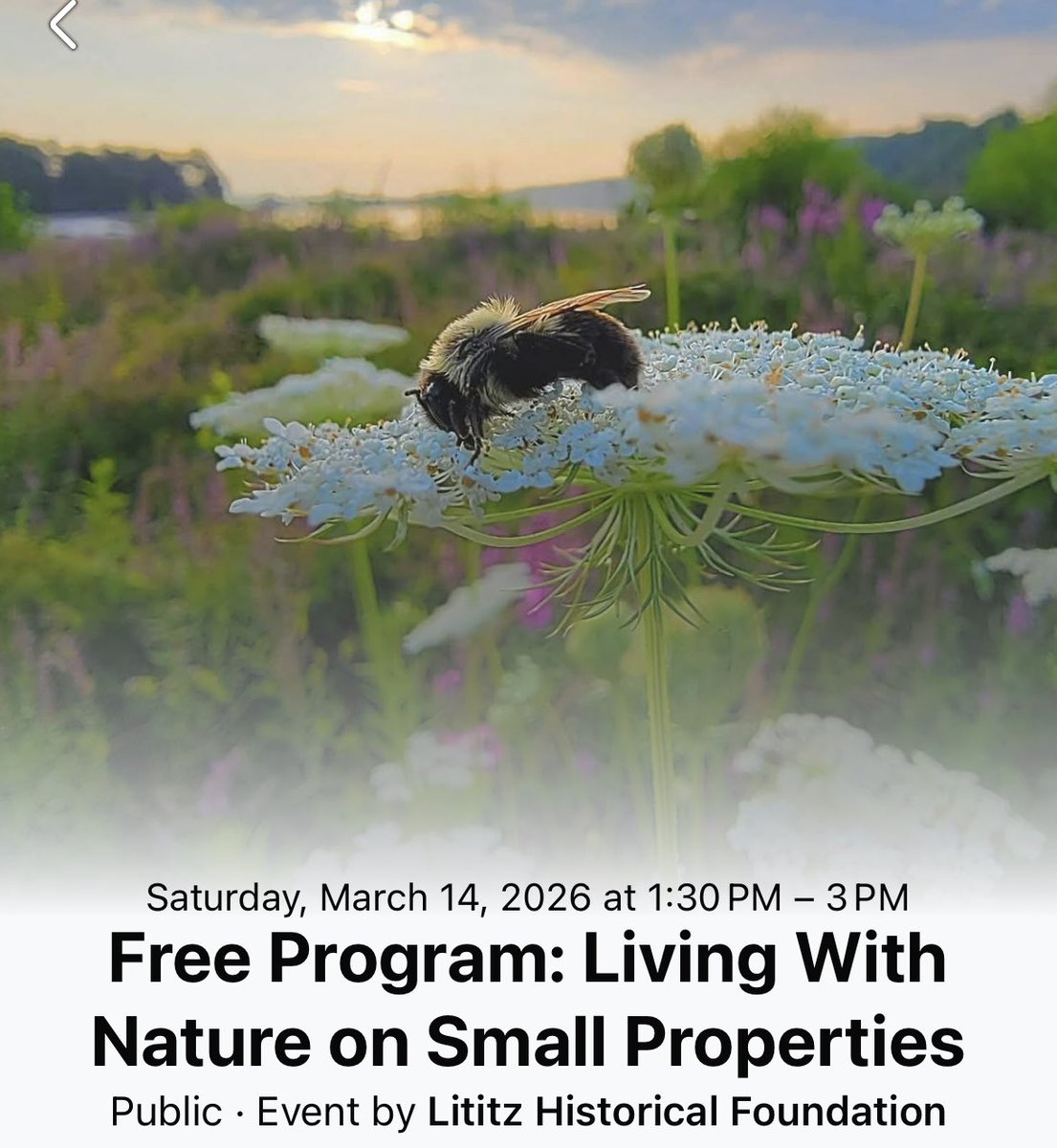 Lititz Museum tweet media