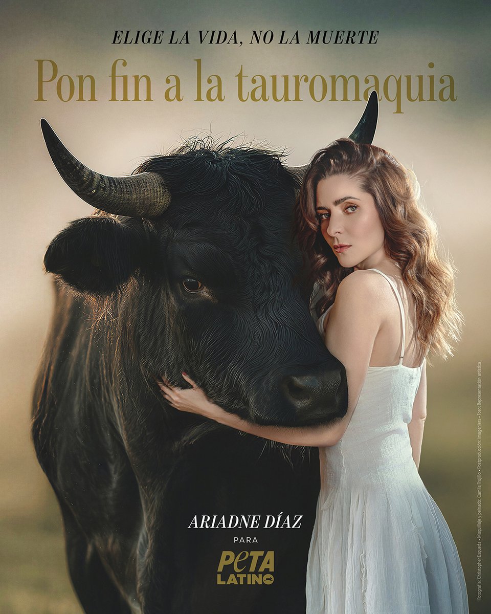 La actriz mexicana <a href="/AriDiazz/">Ariadne Díaz ✨</a>, enfrenta de frente a la tauromaquia y comparte un mensaje urgente: “Elige la vida, no la muerte”.
La tauromaquia no es "cultura" ni "tradición": es violencia y crueldad.

🚨Únete a Ariadne y exige un futuro sin crueldad ni sangre para los toros 🐂❤️