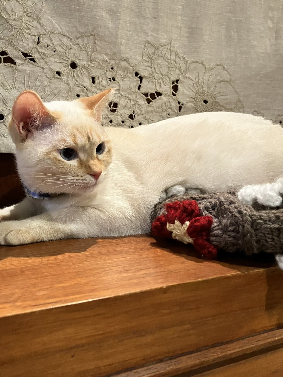 ここ数日 頑張ってた
モチーフバッグ完成🧶
ちょっと冬っぽいｹﾄﾞ……
娘(人間)が早速使ってくれるらしいのでOK🙆🏻‍♀️🎶
 #かぎ針編み
