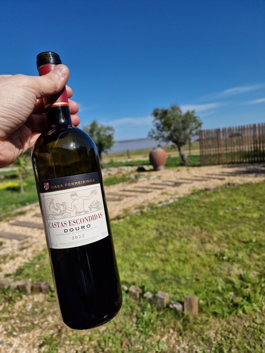 Luís Evangelista tweet media