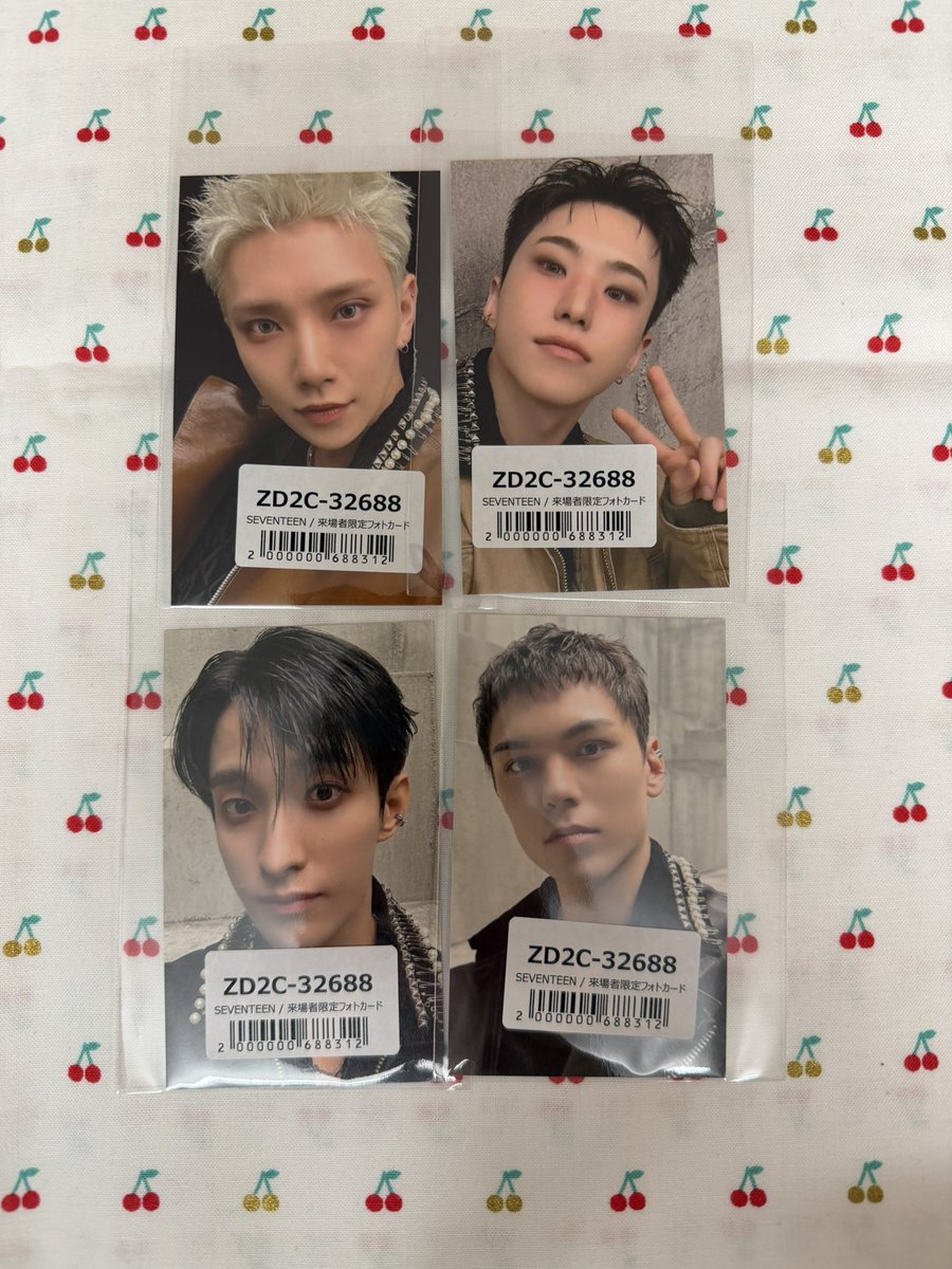 SEVENTEEN セブンティーン セブチ NEW_ 来場者限定 トレカ 交換