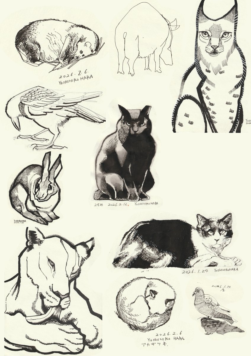 電車で描いたり。 作業で飽きた時に描いたり 動物園で描いたり。 公園で描いたり。 ペンとスケッチブックを持ち歩いてるとコツコツ絵が貯まる。グッズにしたいですね。