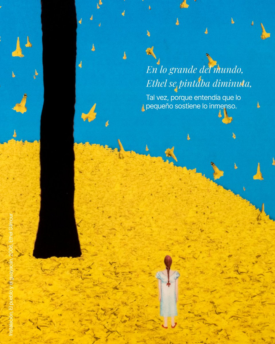 Museo de Antioquia tweet media