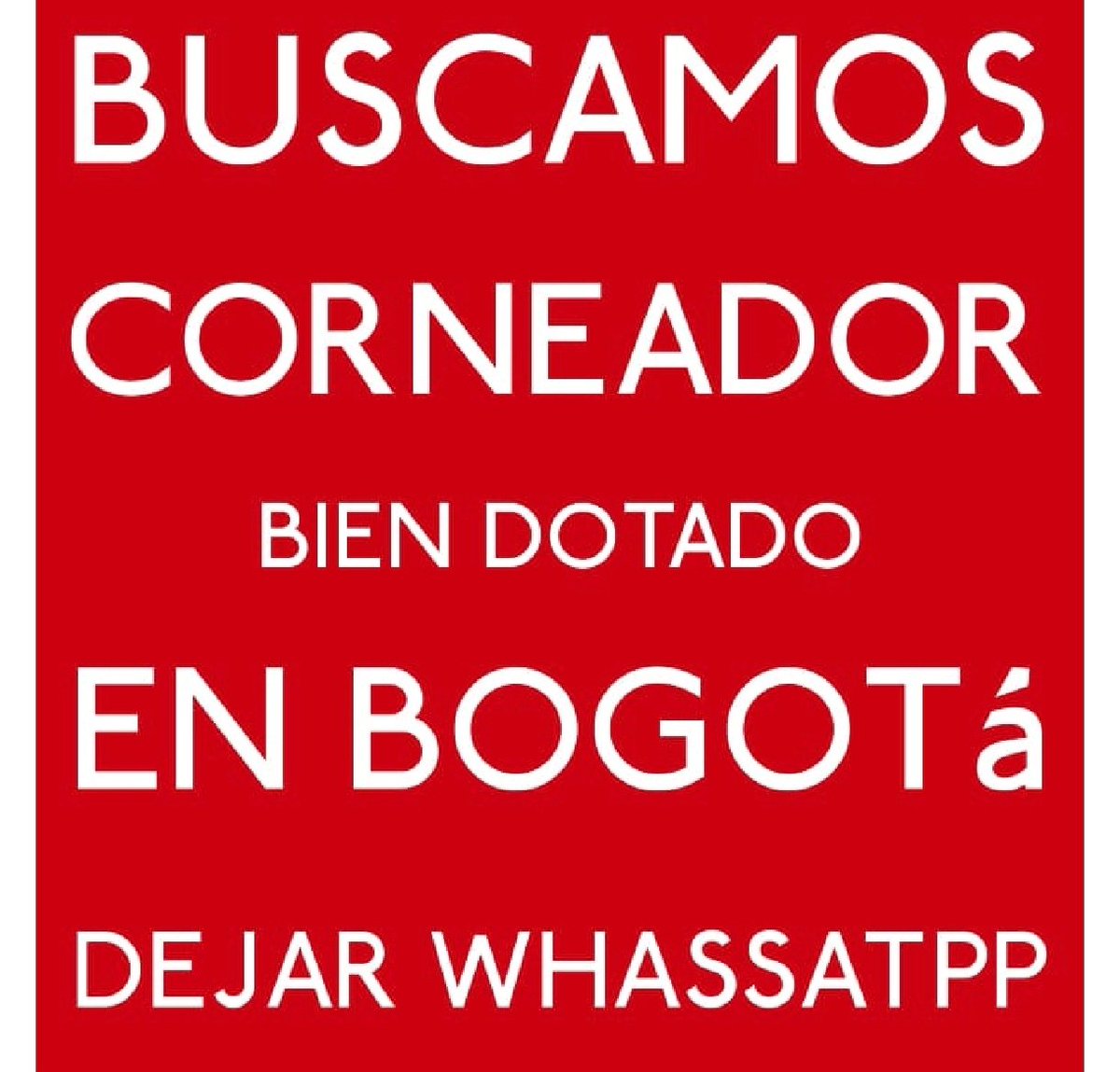 carltaty tweet media