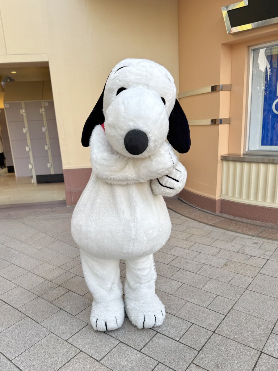 みぃ🦭⌇ USJファン 🎀🪽 (@usj_fan_mii) / Posts / X