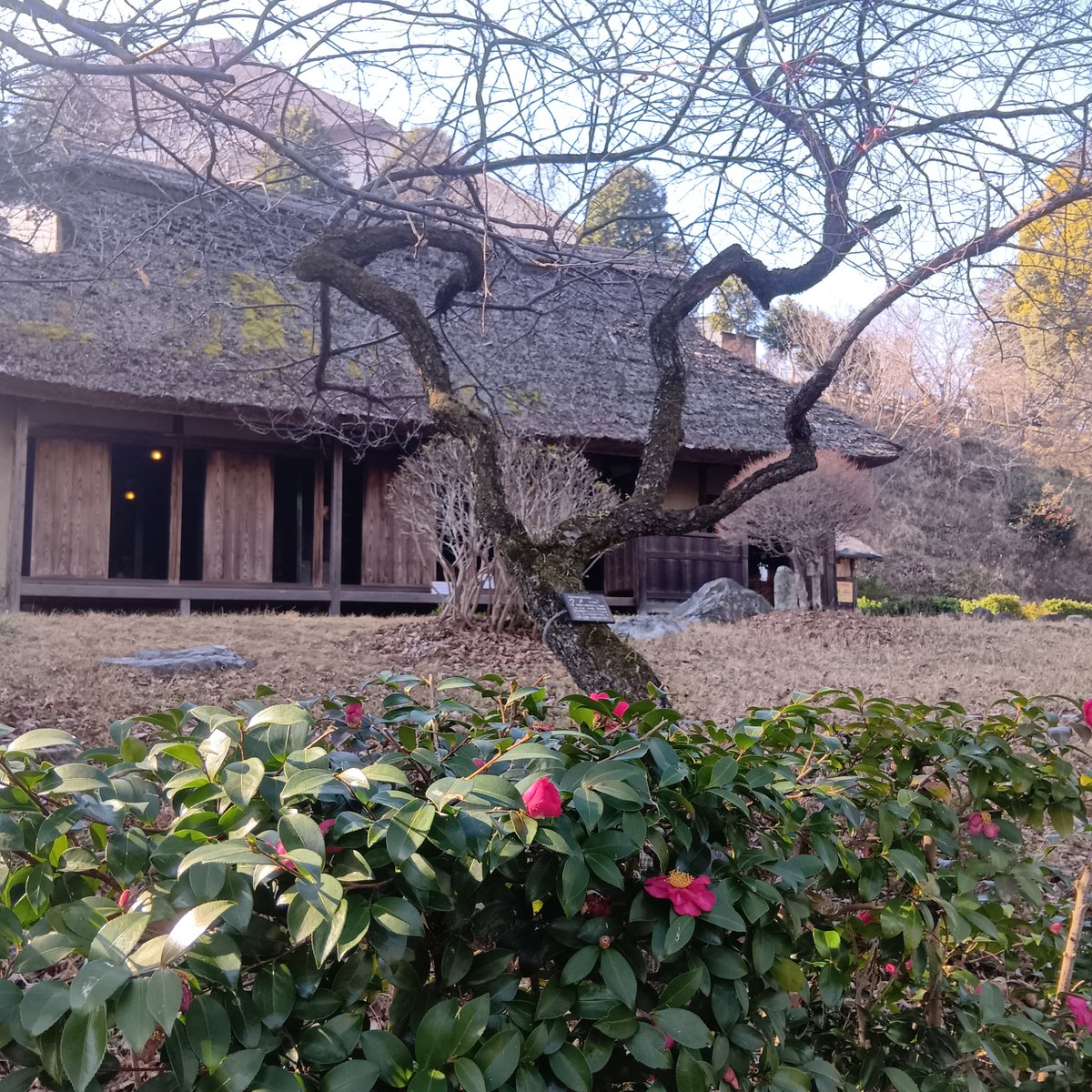 お元気ですか？
明日から3月ですね。
高円寺は人間が面白くて、ちょっとびっくりする事もありますが楽しい街です。
そんな街のライブバー、稲生座でライブします。
来ていただけたら感慨無量です。

【LIVE】
3/5(木)高円寺 稲生座
OPEN 19:00　START 19:30
¥1650+Drink
出演者：西松亜香音/東ヒデ