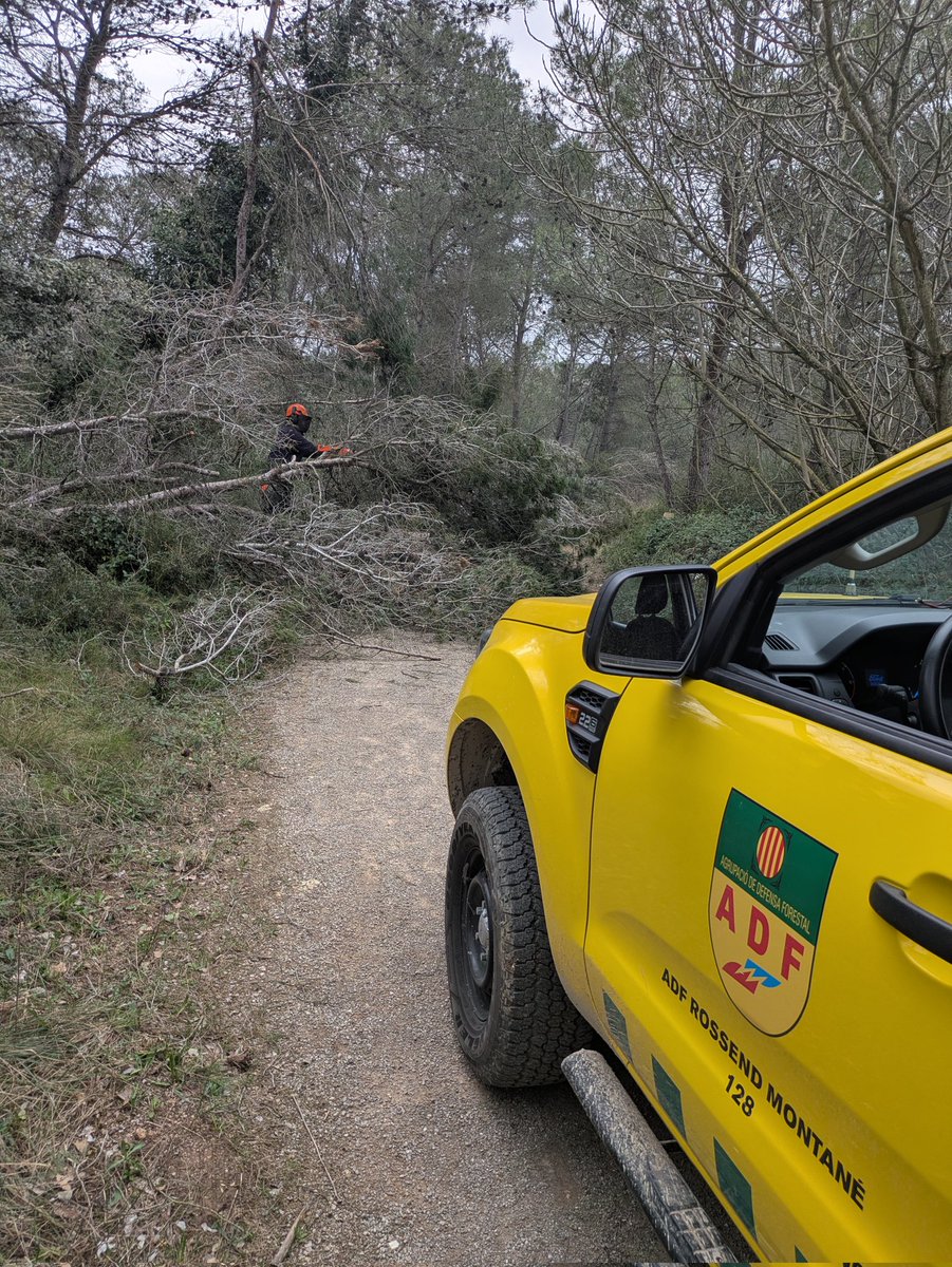 ADF Rossend Montané tweet media