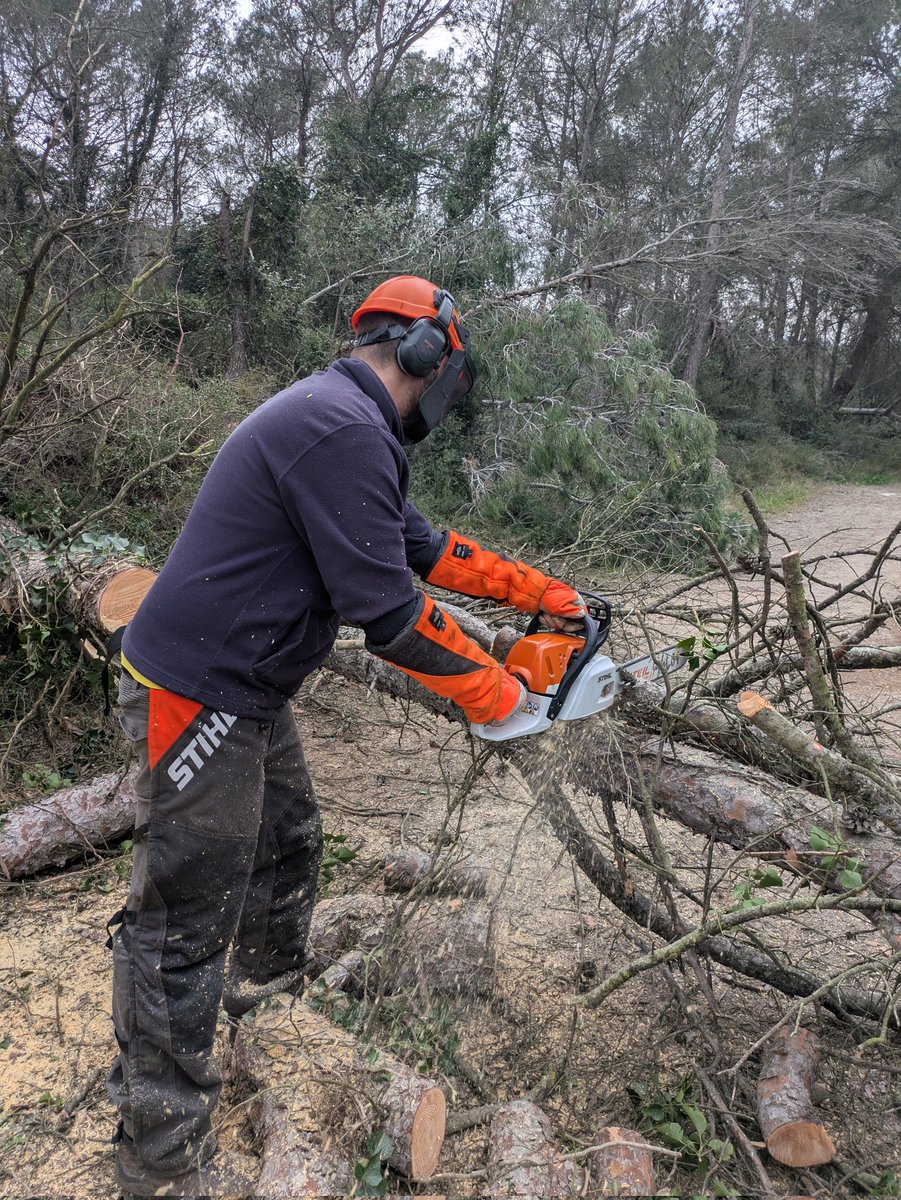 ADF Rossend Montané tweet media
