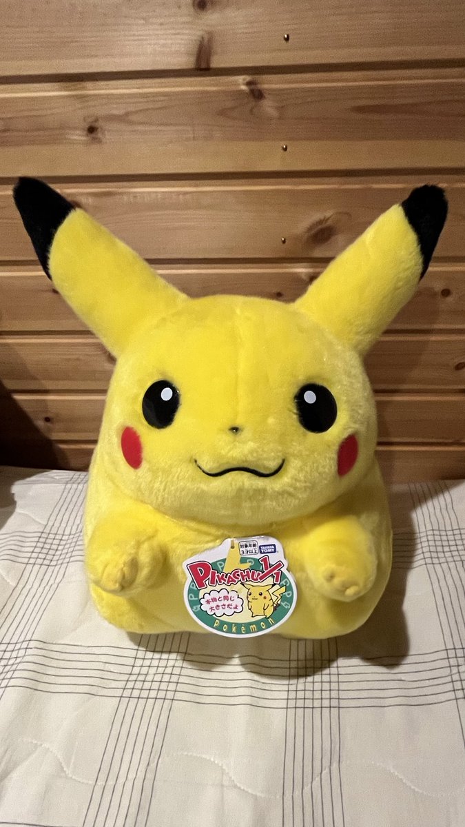 Hoppepuni2's tweet photo. 今週は仕事が忙しくて疲れたけど、ピカチュウお迎えできたから良い週末になった(*´˘`*) https://t.co/2tkpsQxfbU