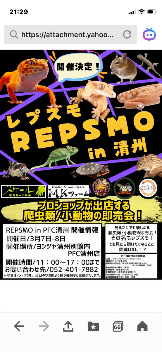 スケール tweet media