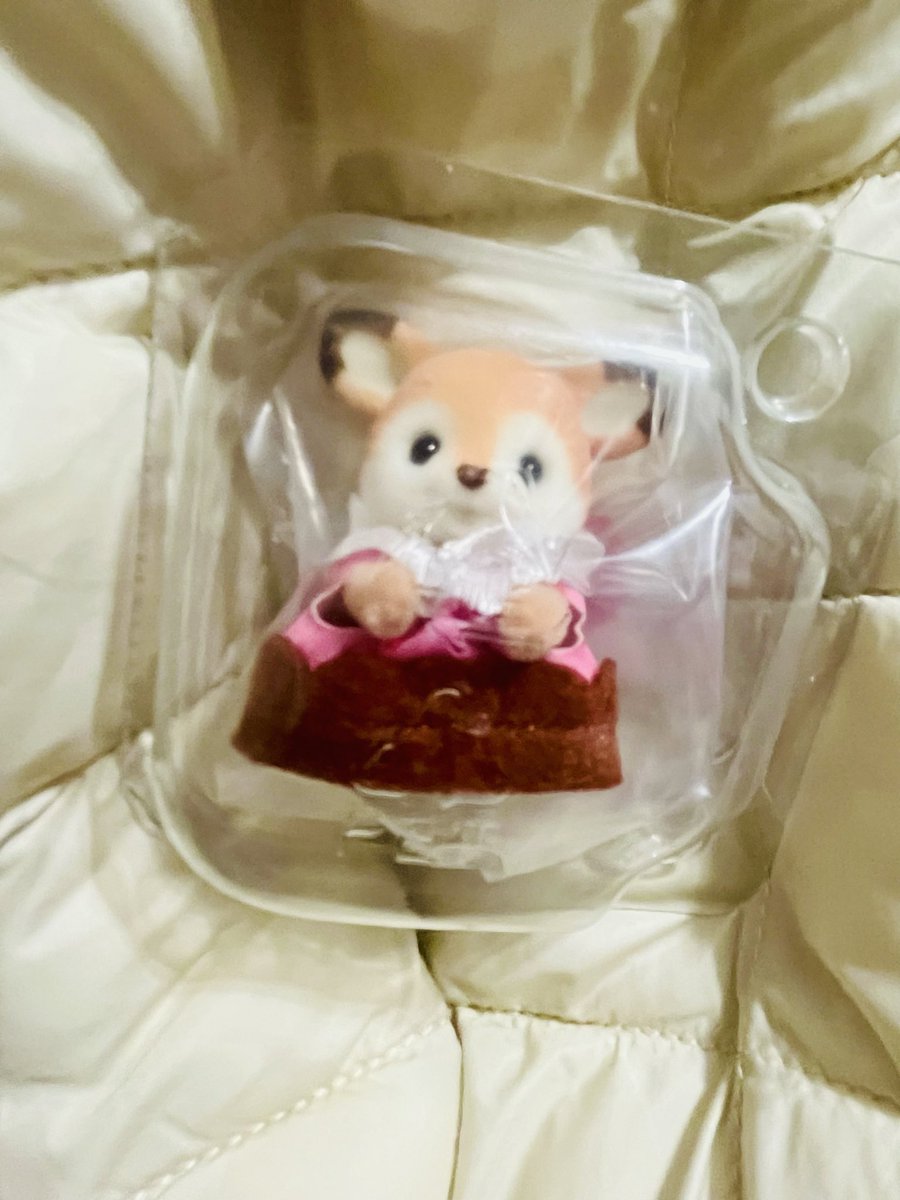 ぽわわ tweet media