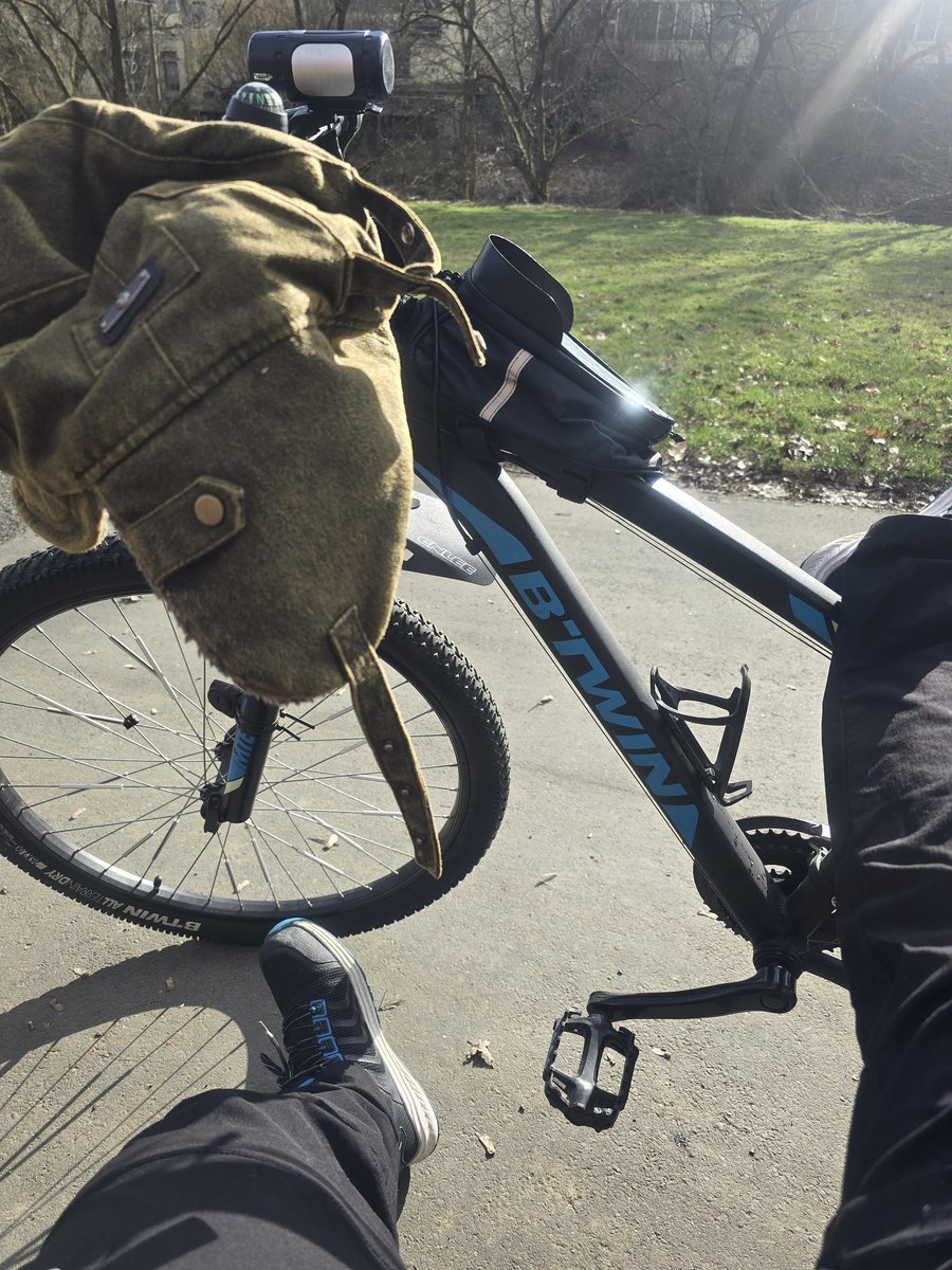 SPYLILIES tweet media