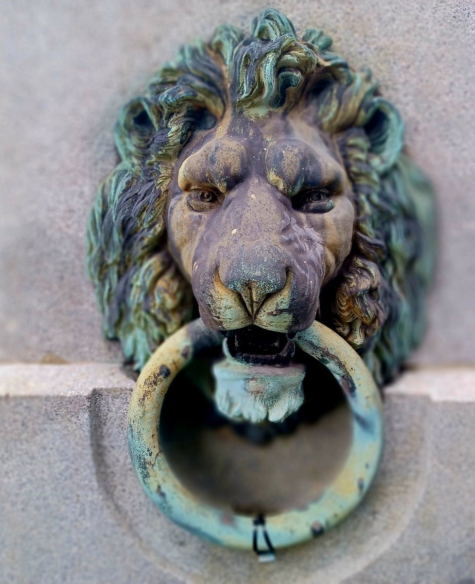 Ian Downes tweet media