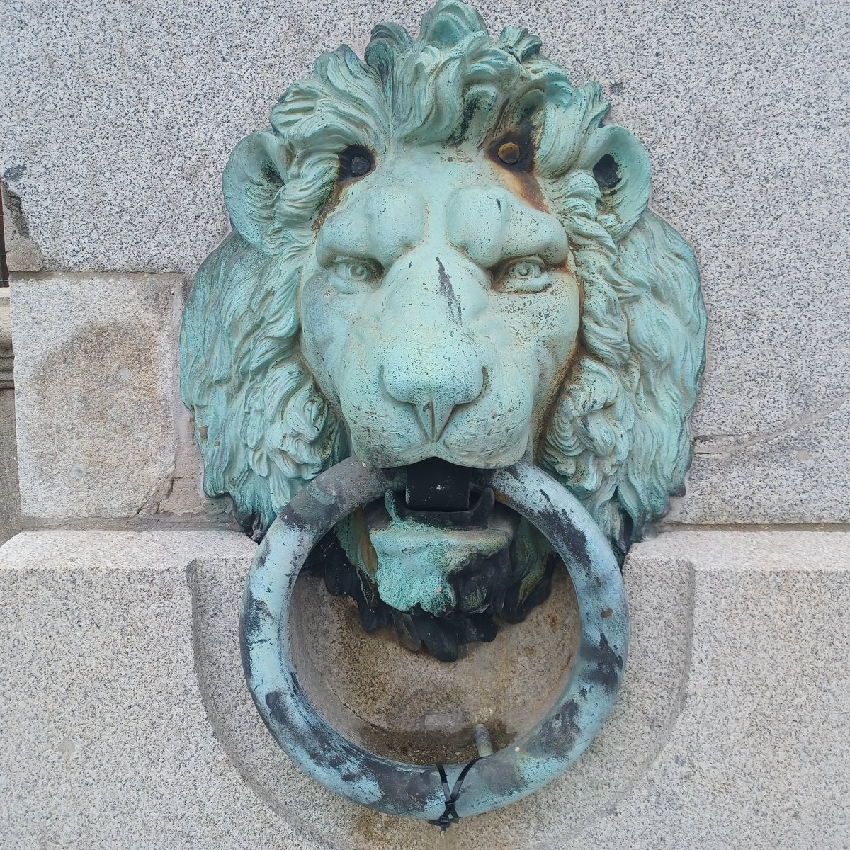 Ian Downes tweet media