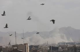 Truls Lie tweet media