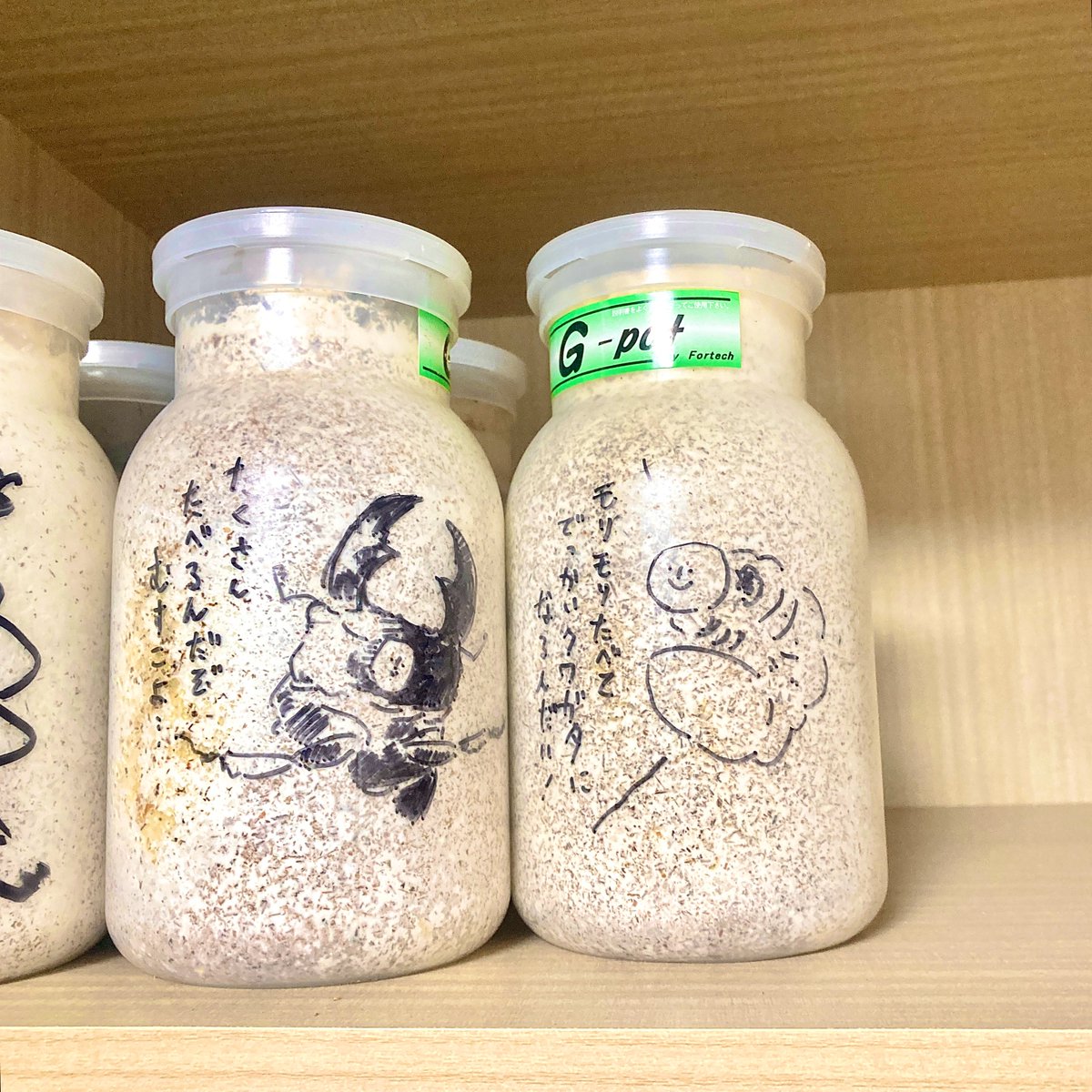 じゅえき太郎 (@juekitaro) / Posts / X