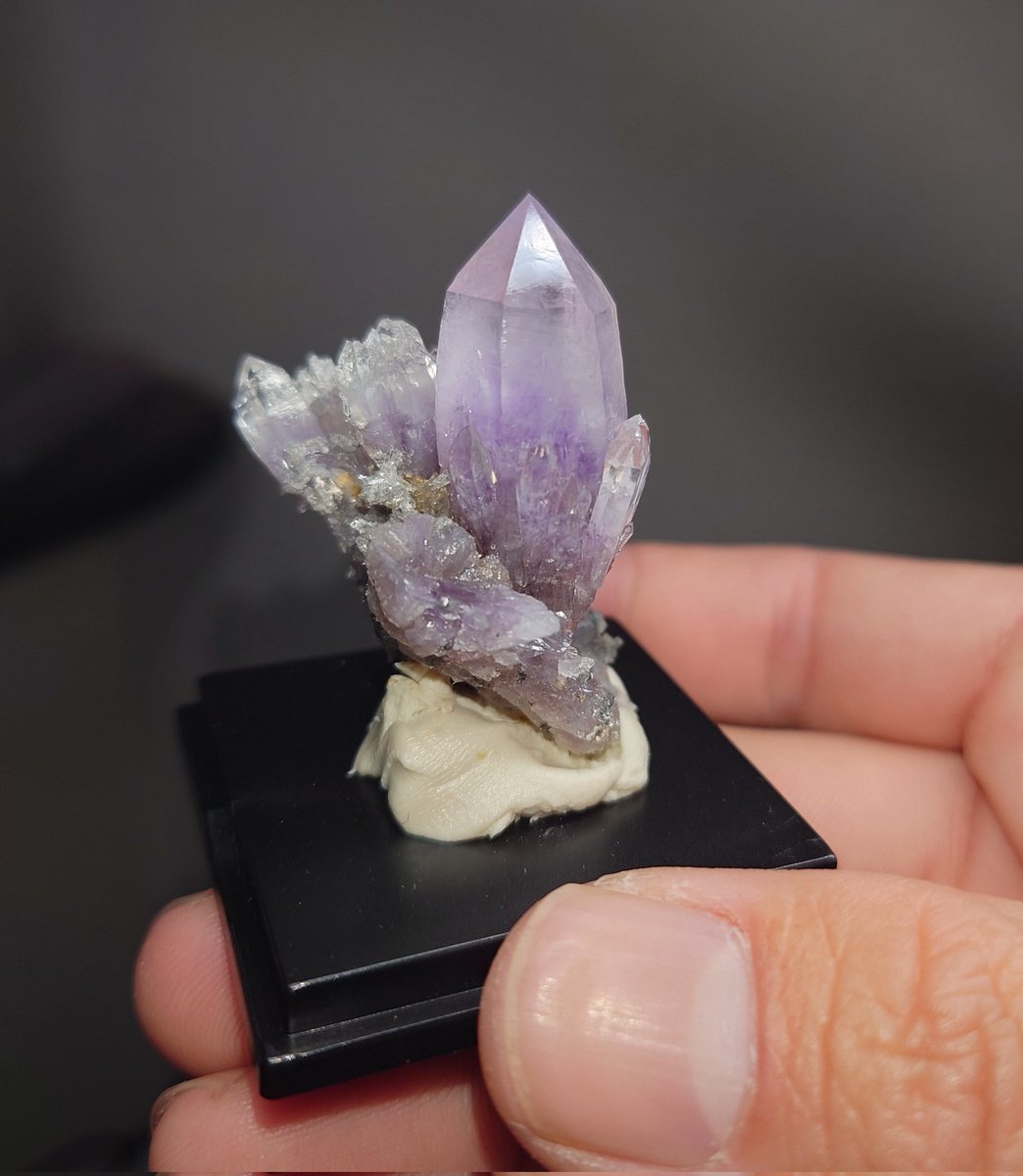 これも好き。毎年出してるやつ。 #2月になったのでアメシスト見せて