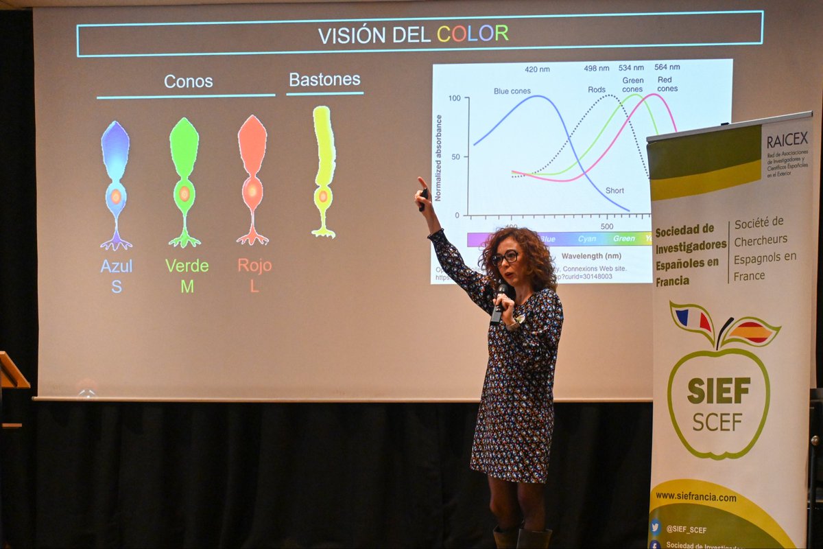 CarlitosRoca7's tweet photo. Ha pasado ya una semana, pero aún con resaca emocional de la gran Asamblea @SIEF_SCEF vivida el pasado sábado en el @CdE_Paris. Cartel de lujo con @Nosolodeyod y @ConchiLillo que no defraudaron y nos maravillaron con sus ponencias (por cierto Feliz Día 💚🤍💚 a ambas). https://t.co/j4WH8yIoRO