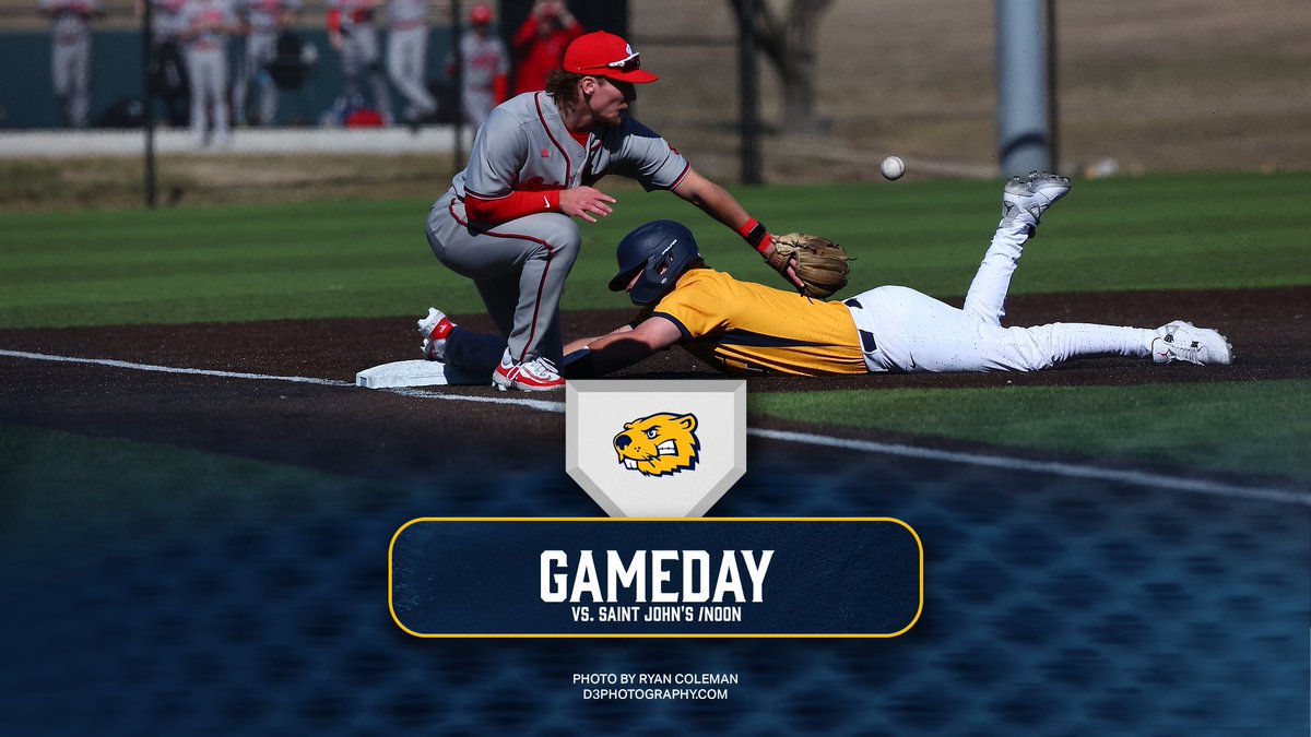 BVU Baseball tweet media