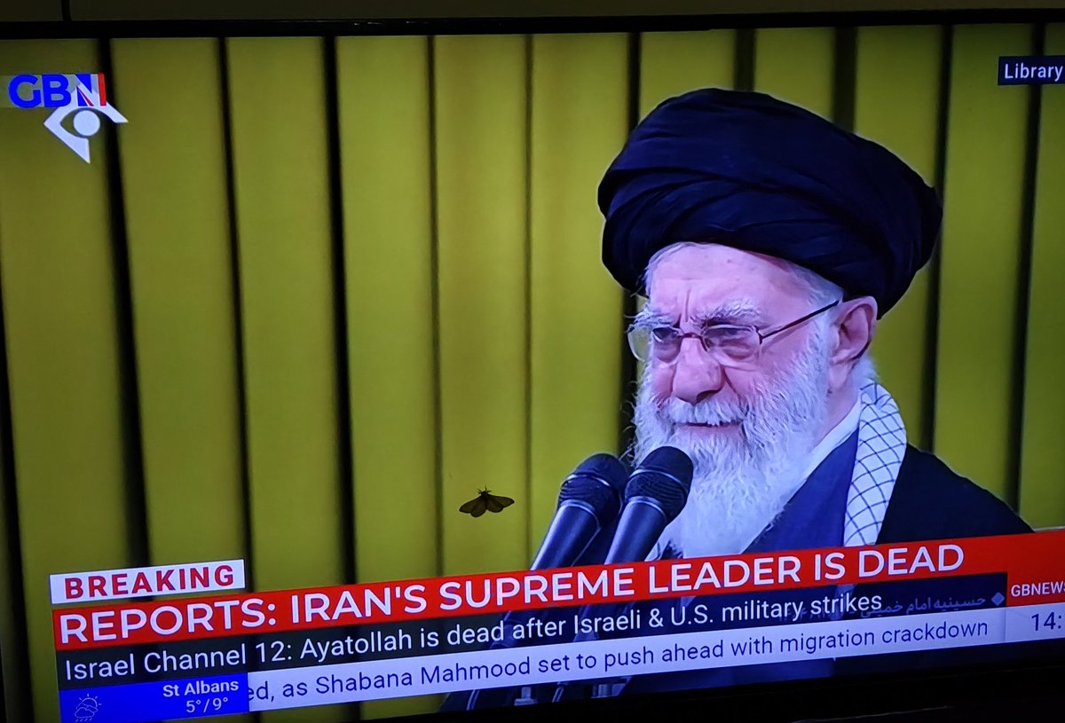 Jude David tweet media