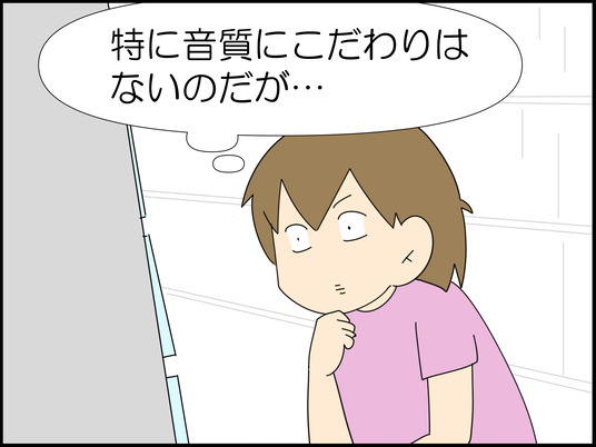カナル型イヤホンが苦手です 2/3 