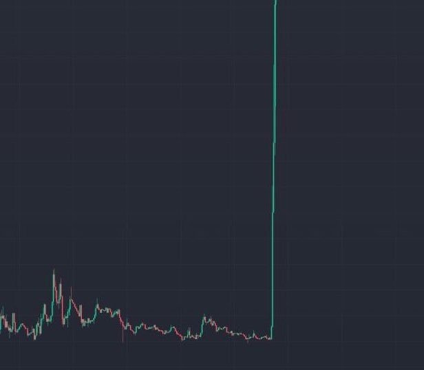 Alpha Crypto Gems 💎 tweet media