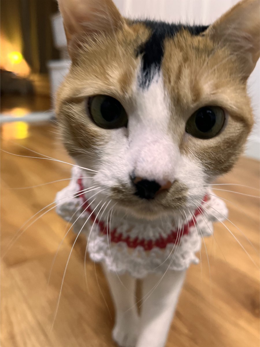 도움이 필요한 아이들 멘션을 리트윗하는 마음으로 은하의 전단을 붙인다. 팔로워가 많지 않고, 리트윗이 많이 안되더라도 아이를 알아보고, 발견하는 한 사람이 있으면 된다고 믿으니까.