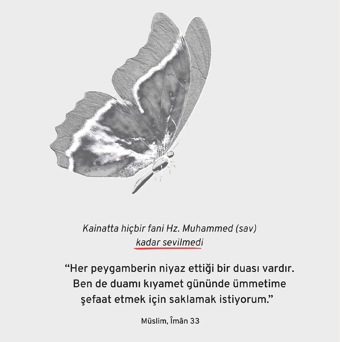 Colin kazım (@kaz_m12182) on Twitter photo 