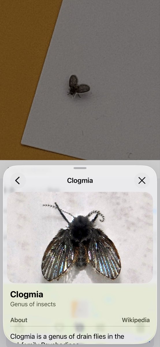 NCx and pro nature behaviour💚 tweet media