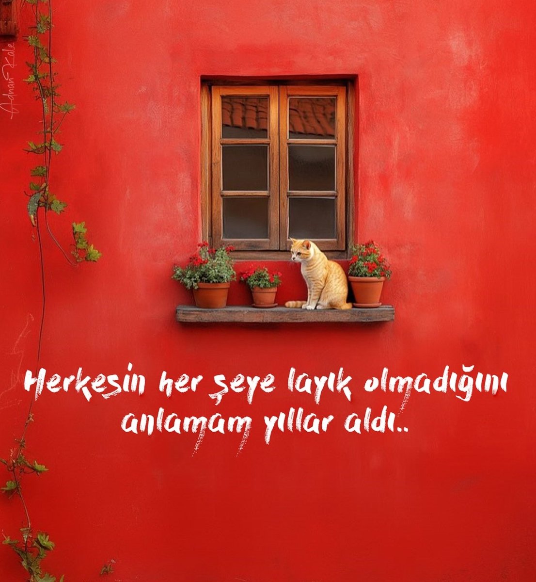 77Sayfa's tweet photo. https://t.co/YmiKmhpcNb