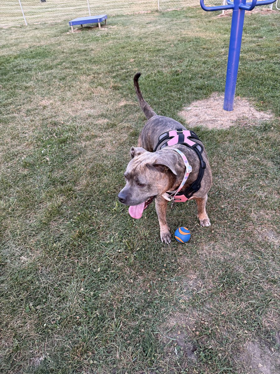 molly jean ( goodest gorl 🍉) tweet media