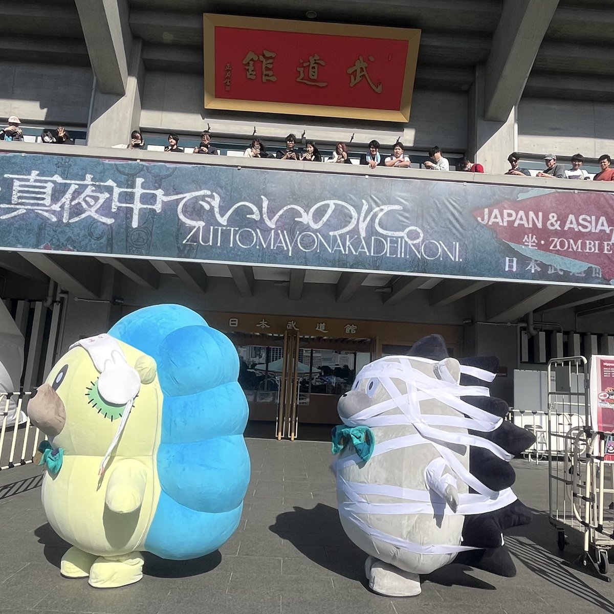 明日ゾンクラ武道館②参戦です✨
14時半頃到着してライブ堪能します🪦🥀

会場いる方会いましょう〜🧟🤝🧟‍♀️