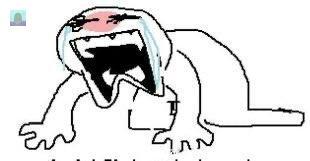 Tanyarl 💚 tweet media