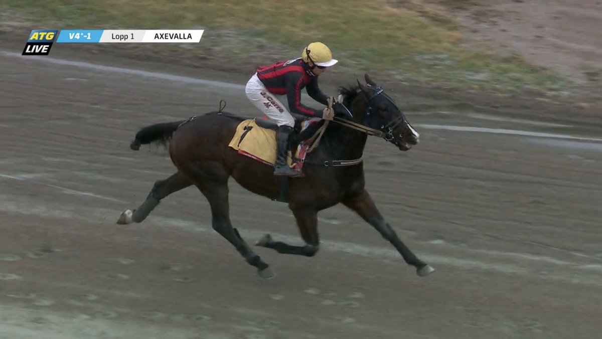 Jonathan Carré🏇🏻🇫🇷🇸🇪 tweet media