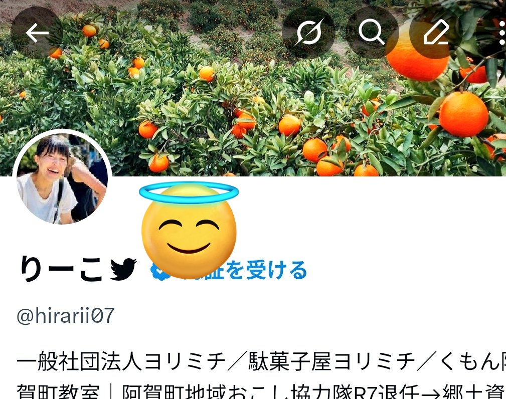 hirarii07's tweet photo. こころにTwitterを刻むためにつけてる鳥ちゃん、Androidでしか見れないらしいので遺産としてここに残します https://t.co/82nxt9K2ae