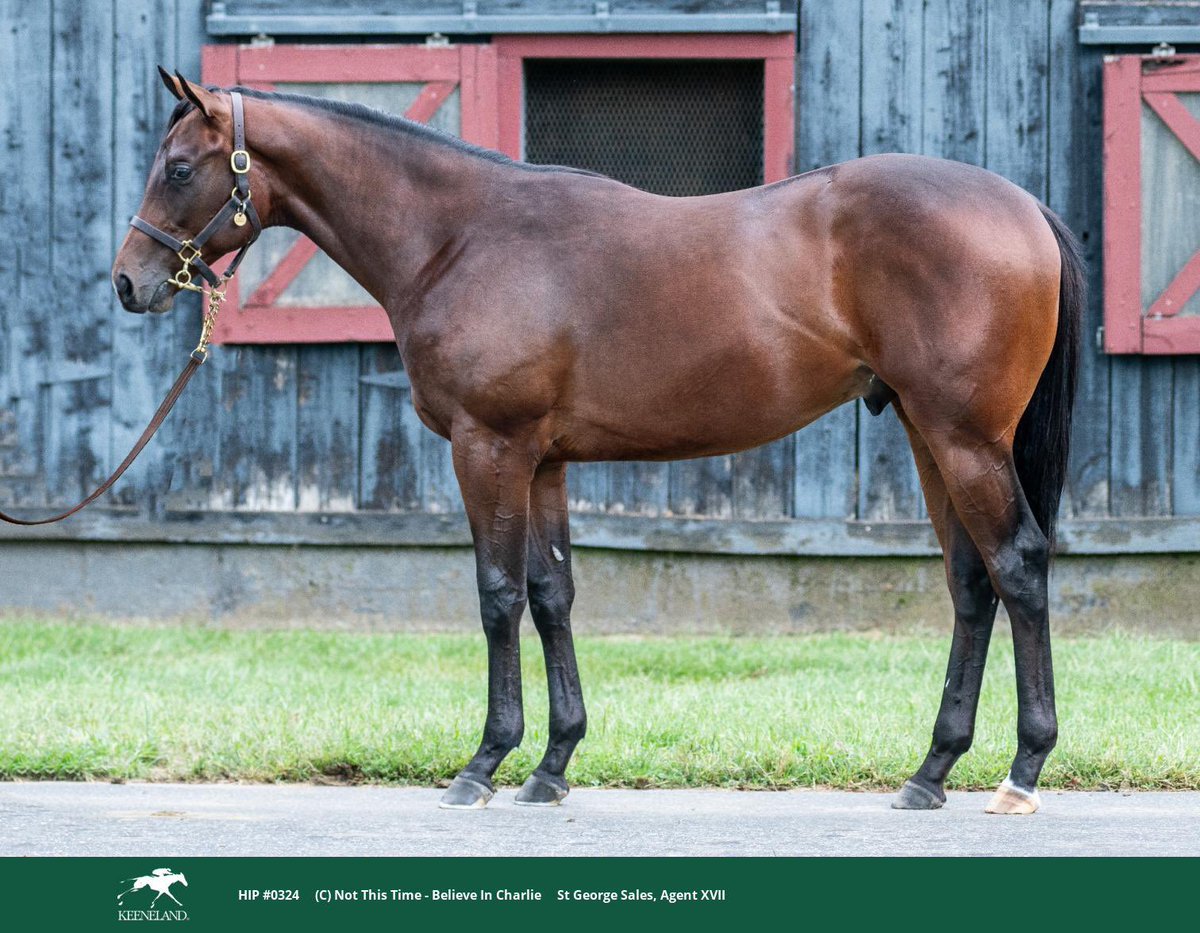 Tom Ryan tweet media