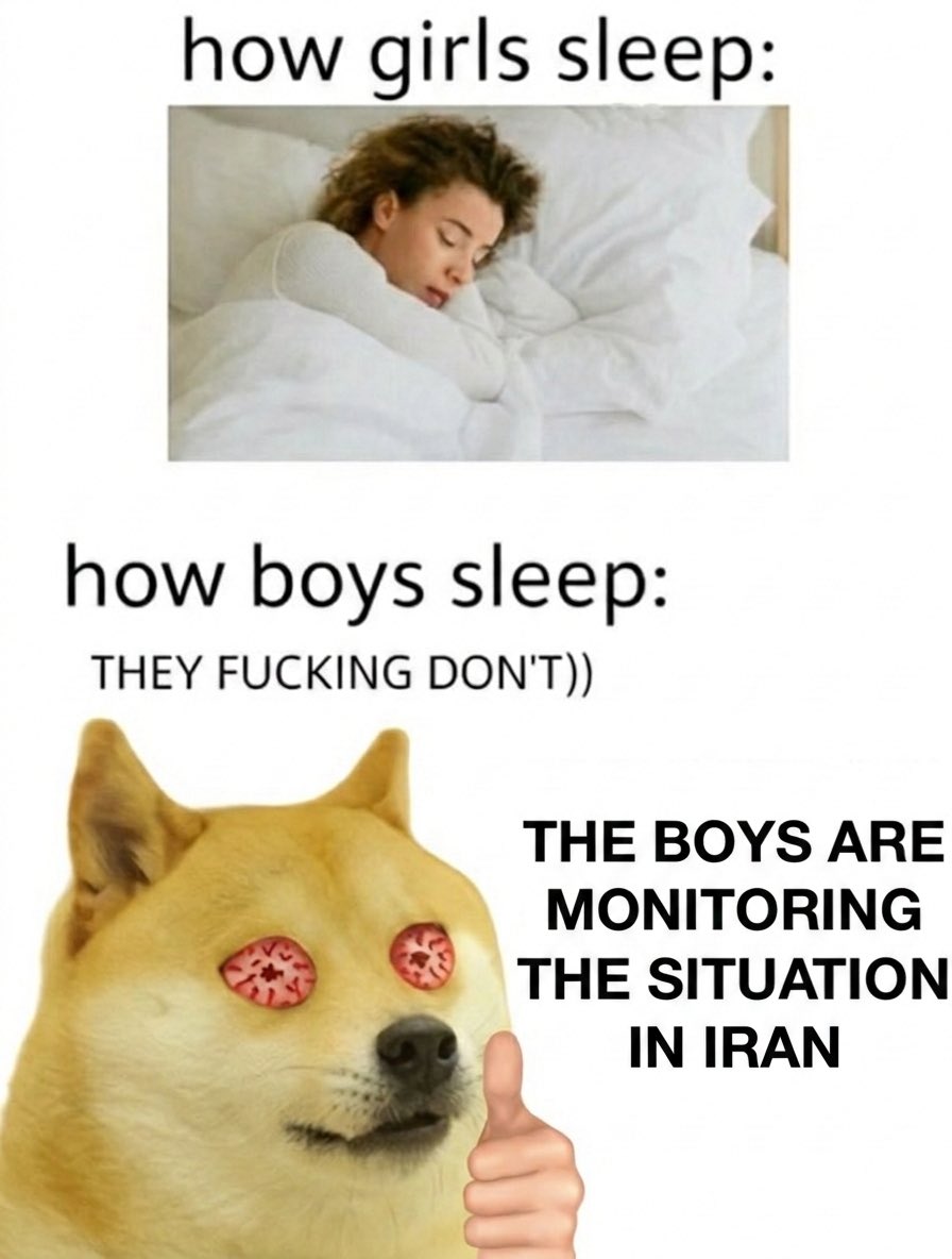 Sir Doge of the Coin ⚔️ tweet media