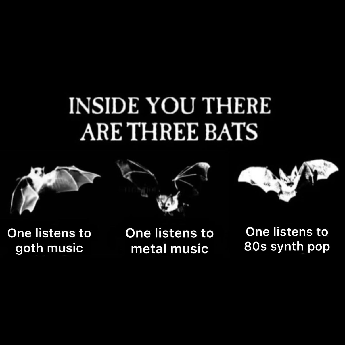 goth music videos (@goth_videos) on Twitter photo 
